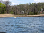 IMG 4574
